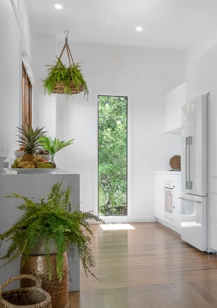 Bangalow Byron Hinterland Interior Blank